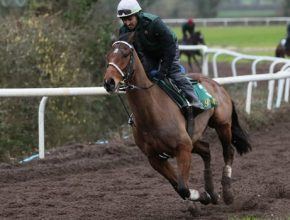 Kèo đua ngựa Dafabet: Đặt cược vào Willie Mullins