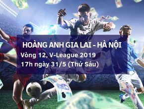 dafabet-viet-nam-v-league-2019-hoang-anh-gia-lai-ha-noi