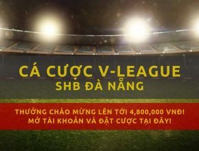 v-league-clb-da-nang-mua-giai-2019-lich-thi-dau-ket-qua